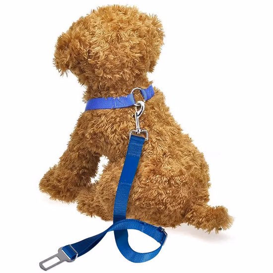 Großhandel Haustier-Auto-Sicherheitsgurt, Hunde-Sicherheitsgurt, Hundeleine, Fahrzeuggurt für Hunde